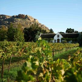 Alpha Excelsior Guest Farm, hotell i Cederberg
