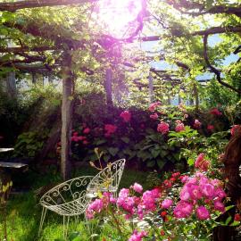 Bed & Breakfast Uvablu