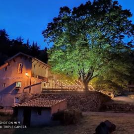Maison des Cévennes - Refuge, hotel en Arphy