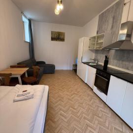 Gasthof zum goldenen Schiff - Budgetwohnung im Hotel