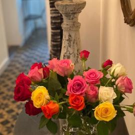 B&B de Tol, hotel di Hulst