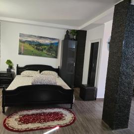 Casa Rico 2, hotel in Tulcea