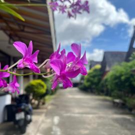 Go Gear Travel & Bungalow, hotel in Krabi