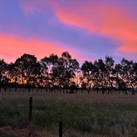 Cycle on Star Lane, Hotel in Wooragee