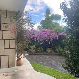 Quinta do Vale Vaqueiro, hotel em Sever do Vouga