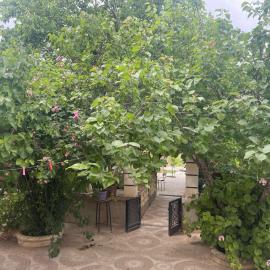Duplexe familiale avec jardin