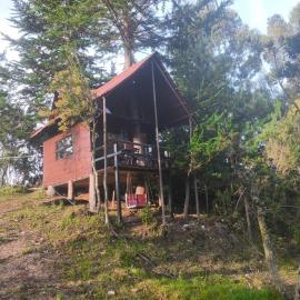 Cabaña sesquile del arbol, hotel din Sesquilé