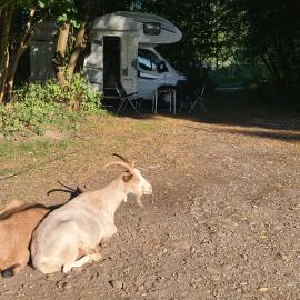 Camping - Bring your tent or van and experience our club!