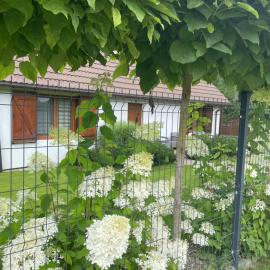Apartamenty Buczyna w Sierakowie