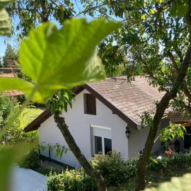 Borostyán Vendégház - Zalaegerszeg