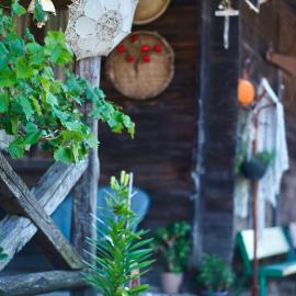 Agro Guesthouse Korena, hotel a Kutaisi
