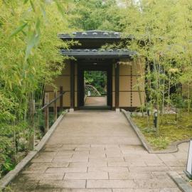 Ujosoan