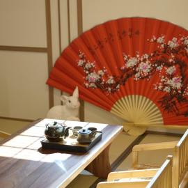 Ryokan Hotel Usagi, khách sạn ở Chuncheon