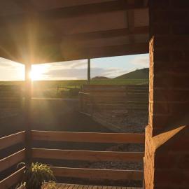 Camperdown में, होटल Black Rock Cottage