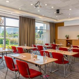 Ibis Bursa