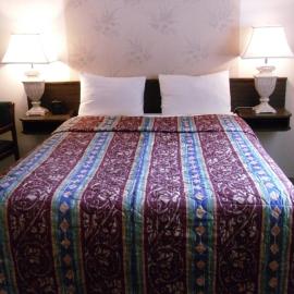 Canyon Alpine Motel – hotel w mieście Boston Bar