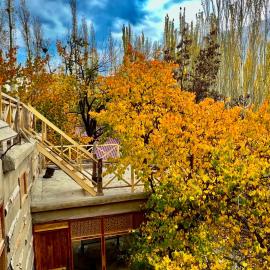 The 2 Magpies, Hunza, hotel v destinácii Alīābād