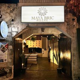 Maya Bric
