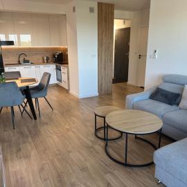 Apartament Rzemieślnicza Premium z klimatyzacją i garażem podziemnym, Hotel in Głogów