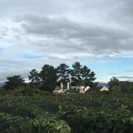 Nga Pari Vineyard, hotel a Gladstone