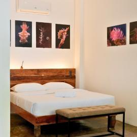 Critter Republic Dive Resort，道因的飯店