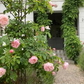B&B Österlens RosenTrädgård, hotel en Glemmingebro