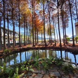 寵物友善 漫步森活 九樺落羽松民宿, hotel em Guoxing