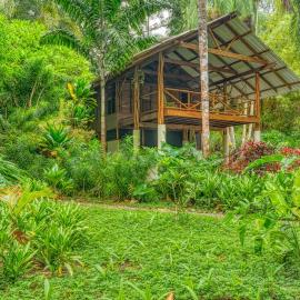 Wildlife Oasis Surf, Rainforest, Animals, hotel in Puerto Jiménez