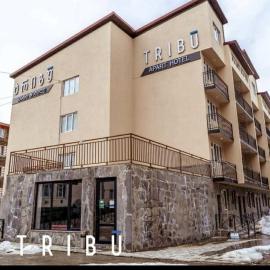 Tribu apart Hotel bakuriani