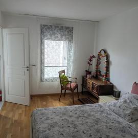 Beautiful flat around Geneva & its airport Palexpo