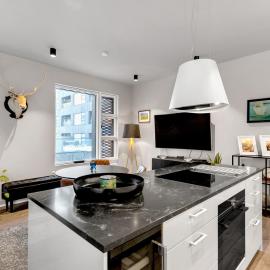 Sleek Condo in Downtown Reykjavik