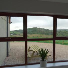 Forrest view