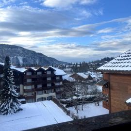 Appartement au centre des Carroz