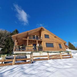Chalet Bois le Havre du sotrè Gérardmer Sauna panoramique jacuzzi 14 personnes et 1 bébé