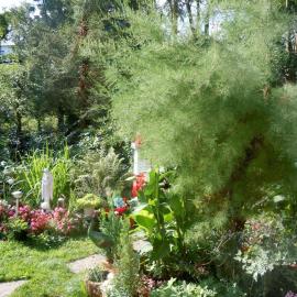 FERIENINSEL-AN-DER-DREISAM