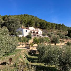 Pilar de la Sima, casa rural, Arguellite-Yeste, hotel a Arguellite