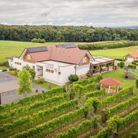 Gustoplatzl, hotel sa Klöch