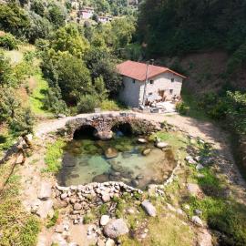 Casa Museu Lagar de Azeite, hotel in Terras de Bouro