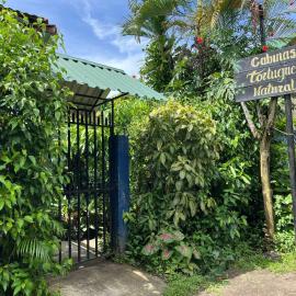 Cabinas Tortuguero Natural