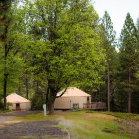 Yosemite Lakes Yurts, hotel Harden Flatben