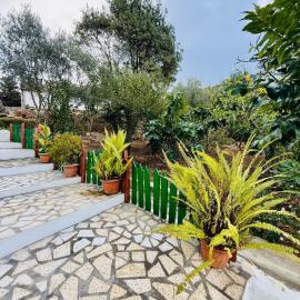 Family House Ain Draham, hotel a Ain Draham