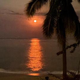Mazunte में, होटल ecohabitas
