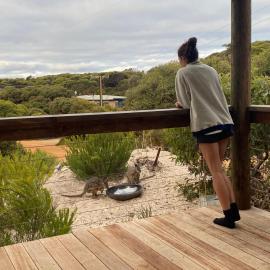 Beonne the Bay at Vivonne Bay, Kangaroo Island, hotel in Vivonne Bay