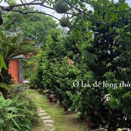 Bao Ong Thien Retreat and Senior Living - Khu Nghỉ Dưỡng Bào Ông Thiền, hotel in Xá Ràng (1)
