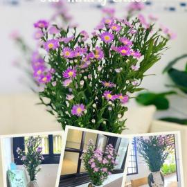 Little Nest Home Phan Thiet - Cozy house, 2 bedrooms, near beach with garden in Phan Thiet