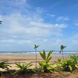 Omisha Beach Stay - Just a 2 minute walk to the beach