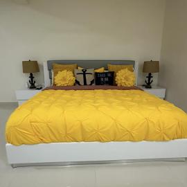Beautiful villa entire house