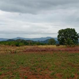 DOP Camp Site Resort, hotel in Balaharuwa