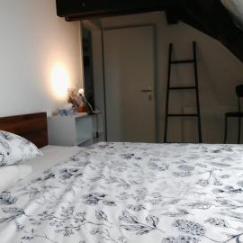 Basel Rühige Zimmer mit grösse Doppelbett