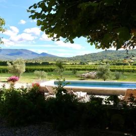 Domaine Saint Jean
